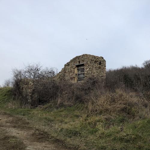 Tour de Courcourt [12-02-2022](IMG_4314).jpg